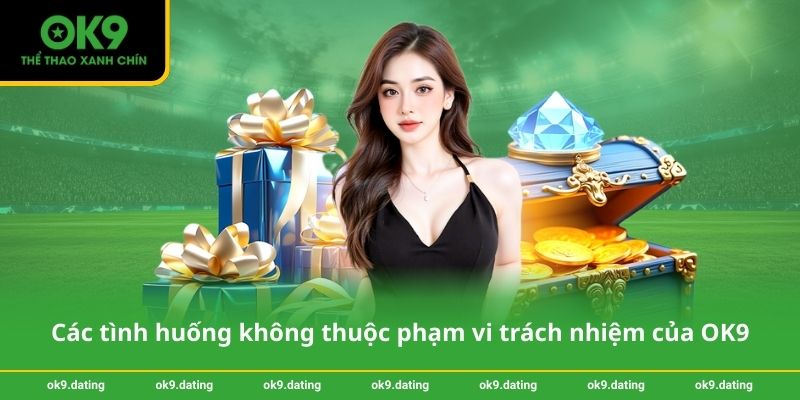 Miễn trừ trách nhiệm OK9 3 Các tình huống không thuộc phạm vi trách nhiệm của OK9